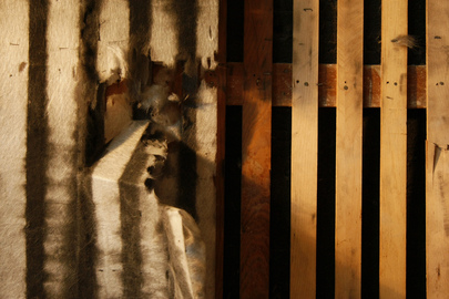 Demolition Work in Trusteeship Council Chamber