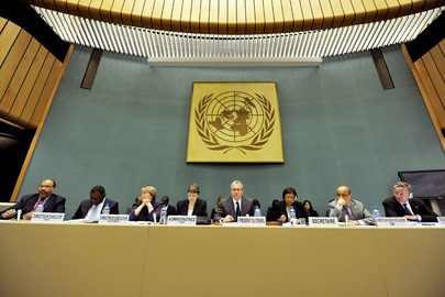 Executive Heads of UN Funds and Programmes Participate in ECOSOC Dialogue
