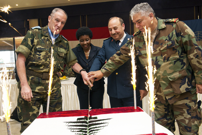 Deputy Secretary-General Attends Lebanese Independence Day Luncheon
