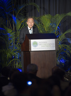 Secretary-General Speaks at Deforestation Event in Durban