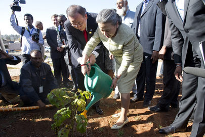 Secretary-General Honours Memory of Nobel-Winning Environmental Activist 