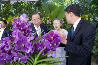Singapore Names Orchid after Secretary-General and Wife