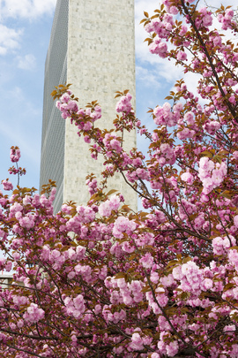 Spring at UN Headquarters