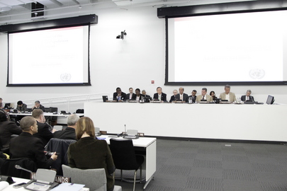 Secretary-General Stresses Reproductive Health Care at Meeting on Youth