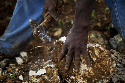 Haitians Plant and Save Land in Cash-for-Work Programme