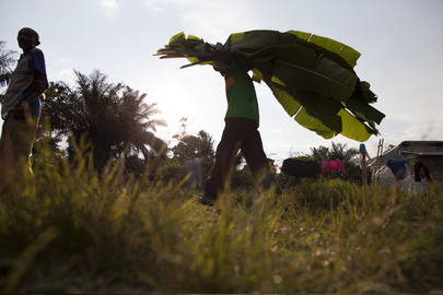 DRC Displaced Seek Refuge near UN Mission Base
