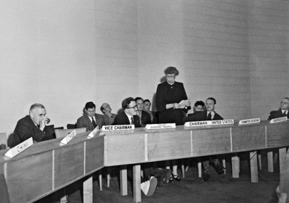 Drafting Committee on International Bill of Rights (Committee on Human Rights)