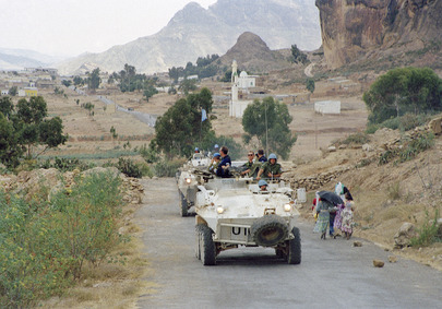 United Nations Mission in Eritrea and Ethiopia (UNMEE)