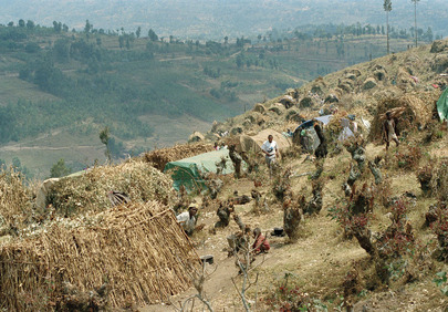 United Nations Assistance Mission for Rwanda (UNAMIR)