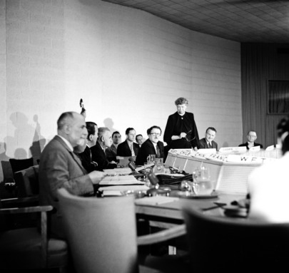Drafting Committee on International Bill of Rights (Commission on Human Rights, ECOSOC Council)