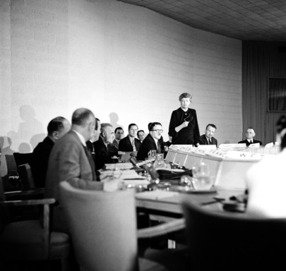Drafting Committee on International Bill of Rights (Commission on Human Rights and Economic and Social Council)