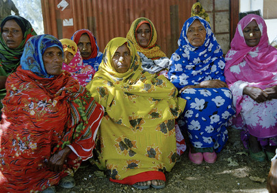 United Nations Mission in Eritrea and Ethiopia (UNMEE)