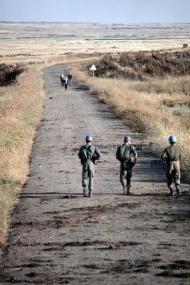 United Nations Disengagement Observer Force in the Middle East