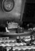Forty-First Regular Session of the United Nations General Assembly 3.2040977