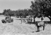 United Nations Peacekeeping Force in Cyprus (UNFICYP) 4.778141