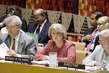 Economic and Social Council Holds Meeting on Resources Mobilization for Poverty Reduction 1.516916
