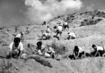 Reafforestation in Korea 0.70861125