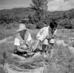 Reafforestation in Korea 0.70861125