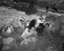 Palestinian Refugees Crossing Frontiers 3.3979642