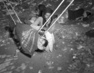 Palestinian Refugees Crossing Frontiers 3.3979642