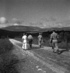 U.N. Truce Observers in Palestine 4.6932554