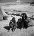 United Nations Aids Arab Refugees in Middle East 0.8373192