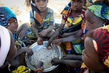 Niger Families Face Drought and Rising Food Prices 12.46674