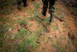 AMISOM and Somali Troops Advance to Afgooye during Anti-Shabaab Operation
