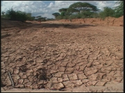 Selected frame from video story 
KENYA / DROUGHT
	