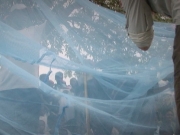 Selected frame from video story 
WORLD MALARIA DAY / ADVANCER
	