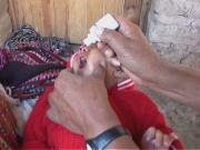Selected frame from video story 
PARAGUAY/ VACCINATION CAMPAIGN 
	