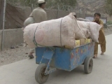 Selected frame from video story 
AFGHANISTAN / CHILDREN
	