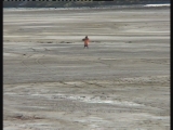 Selected frame from video story 
GA / CLIMATE CHANGE
	