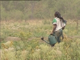 Selected frame from video story 
CHAD / C.A.R. REFUGEES
	