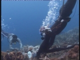 Selected frame from video story 
BALI / FISHERMEN 
	