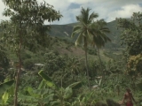 Selected frame from video story 
HAITI / ENVIRONMENT
	