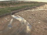 Selected frame from video story 
MADAGASCAR / CLIMATE CHANGE
	