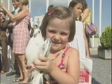Selected frame from video story 
VIENNA / HIROSHIMA CEREMONY
	
