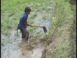 Selected frame from video story 
THAILAND / TRIBAL LAND 
	