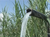 Selected frame from video story 
TAJIKISTAN / DRINKING WATER
	