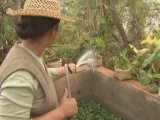 Selected frame from video story 
MADAGASCAR / WATER
	
