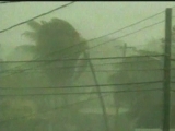 Selected frame from video story 
GENEVA / CLIMATE CHANGE 
	