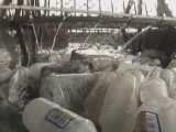 Selected frame from video story 
HAITI / TROPICAL RECYCLING
	