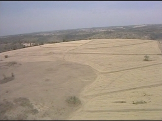 Selected frame from video story 
KENYA / MAU FOREST 
	