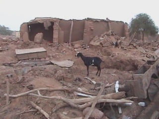 Selected frame from video story 
UN / ANIMAL WELFARE
	