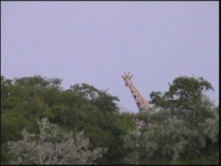 Selected frame from video story 
UNWTO / AFRICA TOURISM 
	