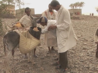 Selected frame from video story 
YEMEN / FOOD SUPPLY
	