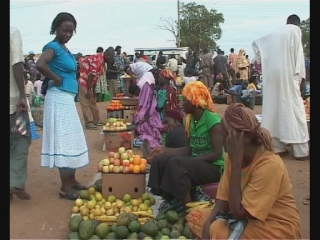 Selected frame from video story 
SUDAN / AGRICULTURE 
	