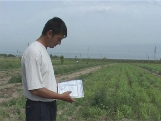 Selected frame from video story 
TAJIKISTAN / IRRIGATION
	