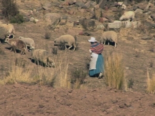 Selected frame from video story 
UNFPA / WORLD POPULATION ADVANCER (EMBARGOED 18 NOV 2009 1200 GMT)
	